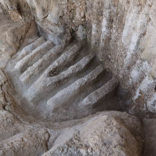 Researchers extract ancient DNA from a 2,900-year-old clay brick