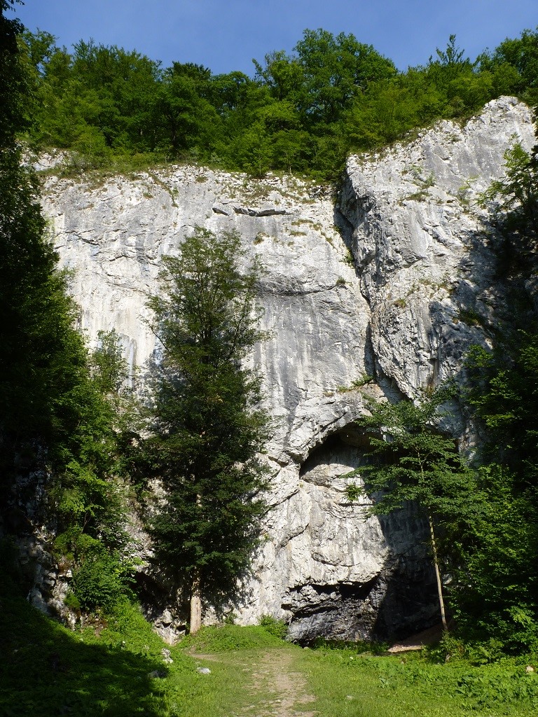 https://en.wikipedia.org/wiki/Bycí_skála_Cave#/media/File:Moravsky_kras,_Bycí_skála.JPG