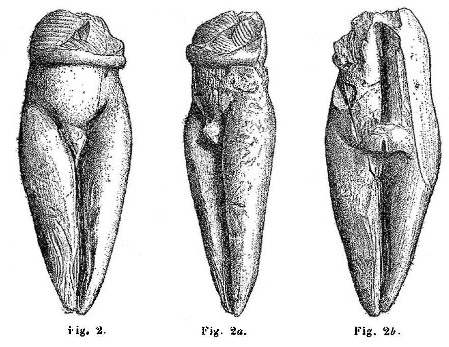 "La figurine à la Ceinture" (The figurine with a belt), one of several Venus figurines discovered alongside the Venus of Brassempouy https://en.wikipedia.org/wiki/Venus_of_Brassempouy#/media/File:Piettefigurine.jpg