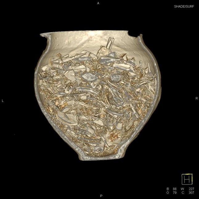 https://archaeology.crossrail.co.uk/exhibits/roman-cremation-urn/