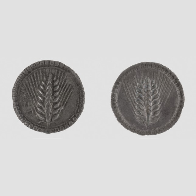 Silver stater from Metaponto, 540–510 BCE. Six-row barley head. New Haven, Yale University Art Gallery, Numismatic Collection. Photo: Yale University Art Gallery.