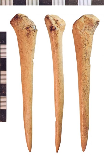 Pin-Beater (NLM-78D3B5) A bone pin-beater found near Melton Ross, Lincolnshire https://emidsvikings.ac.uk/items/pin-beater-nlm-78d3b5/