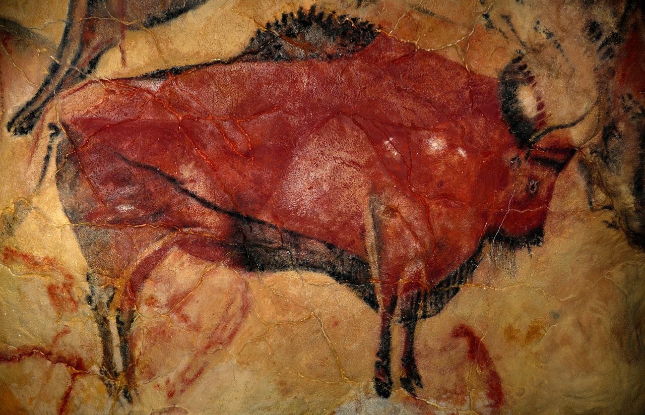 One of the bison painted in Altamira cave, Spain.
