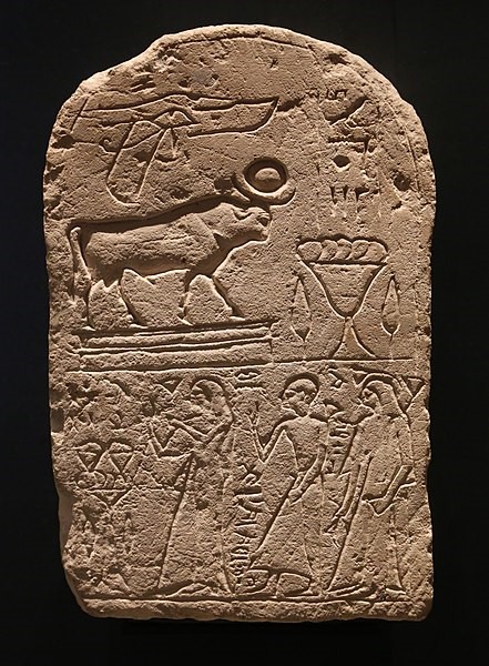 Votive stele for a Mnevis bull, 12th century BCE, from Heliopolis https://en.wikipedia.org/wiki/Mnevis